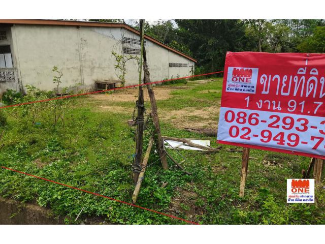 ขายที่ดินติดถนน ควนเนียง สงขลา 1 งาน 91 ตรว.