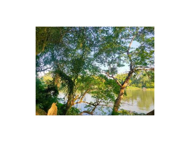 ขายที่ดินติดแม่น้ำแควน้อย กาญจนบุรี