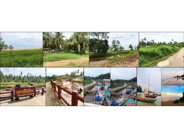 ขายที่ดิน แปลงสวย ด้านหน้าติดทะเล เนื้อที่ 8 ไร่ จ.ชุมพร.