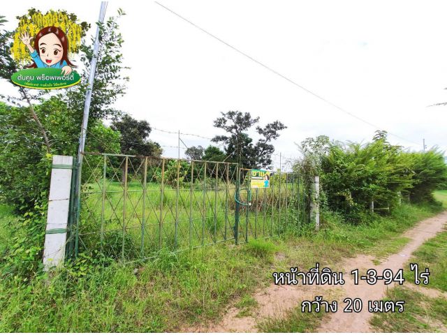 ขายที่นา บ้านนาอุดม​ ขามใหญ่​ เมืองอุบล