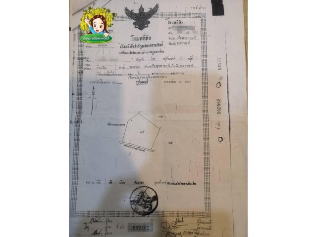 ขายที่ดิน 13 ไร่ พร้อมสิ่งปลูกสร้าง​ บ้านหนองขอน เมืองอุบล