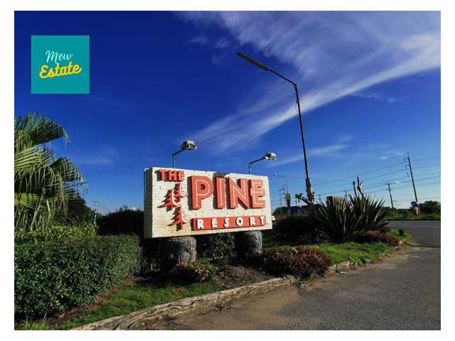 R47-012 ขายถูก ที่ดินสวย 66 วา โครงการThe Pine หมู่บ้านศรีปทุม สามโคก  มิว 061-9155997