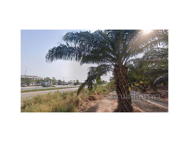 ขายที่ดิน #ติดถนนหมายเลข331 ฝั่งขาออก หน้ากว้าง 395 เมตร เป็นที่เนินสวย มองเห็นวิวเขา ต.ห้วยใหญ่ อ.บางละมุง จ.ชลบุรี 262-3-59 ไร่