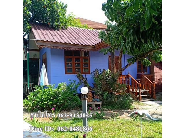 T00313บ้านสไตล์โฮมสเตย์ อยู่แถวสันป่าตอง