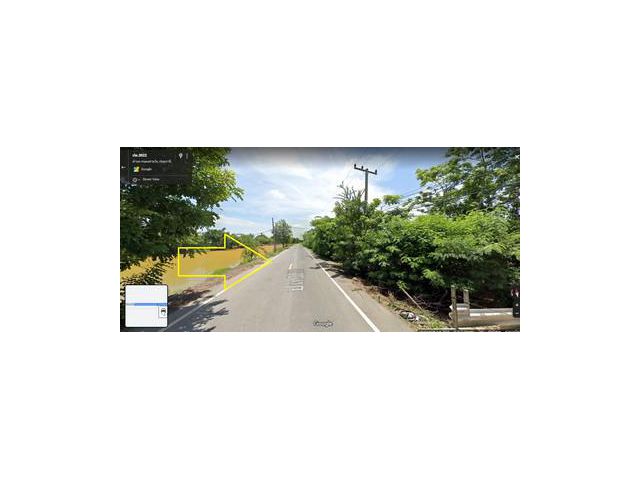 ขายที่ดินติดถนนลาดยาง คลอง 11 หนองเสือ ปทุมธานี