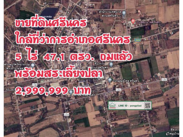 > ขายด่วน ที่ดินศรีนคร ใกล้ที่ว่าการอำเภอศรีนคร รร.ศรีนคร 5 ไร่ 47.1 ตรว.