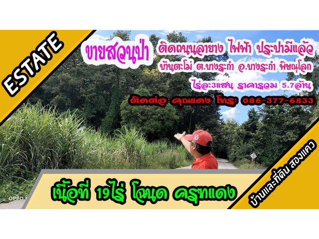 ขายสวนป่า  ติดถนนลาดยาง โฉนด 19ไร่ 70 ตรว. บ้านตะโม่ ต.บางระกำ อ.บางระกำ พิษณุโลก ไร่ละ 3 แสน ราคารวม 5.7ล้านบาท