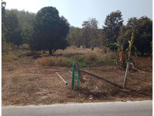 ที่ดินเปล่าบ้านท่าศาลา