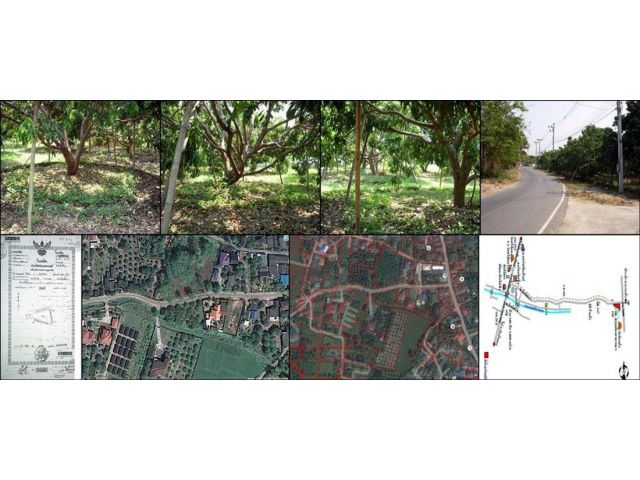 ที่ดิน หารแก้ว 300 ตร.วา ซ.ป่าเหียง 1 เชียงใหม่ ให้เช่า