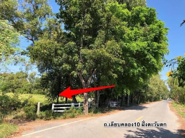 ZSL260111 ขาย ที่ดินติดถนนราดยาง คลอง10 หนองเสือ กม.7 ทำเลนี้หายาก ทำธุรกิจเหมาะมาก
