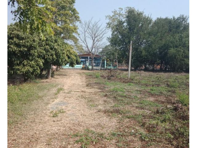 ที่ดินเปล่าติดถนน แม่ฮ้อยเงิน