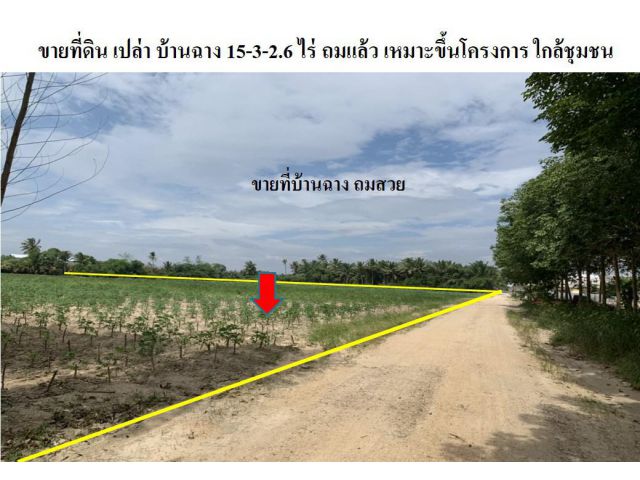 ขายที่ดิน ระยอง บ้านฉาง  15-3-2.6 ไร่