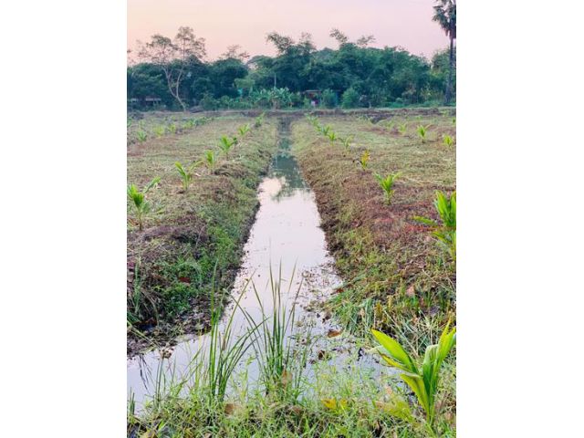 ขายที่ดินเปล่าพร้อมบ้าน  5-2-79 ไร่ อ.เมืองนครปฐม จ.นครปฐม ที่ดินสวยถมแล้ว - 05537