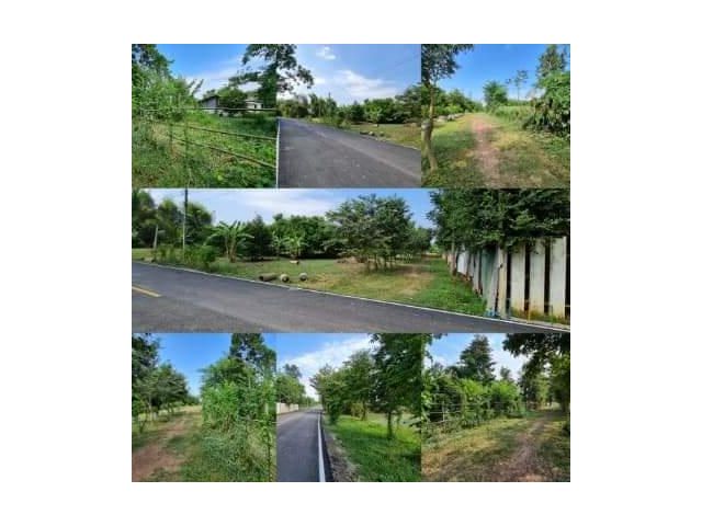 ขายที่ดินเนื้อที่ 1 งาน ในหมู่บ้าน ห่างถนนลาดยางประมาณ 50 เมตร