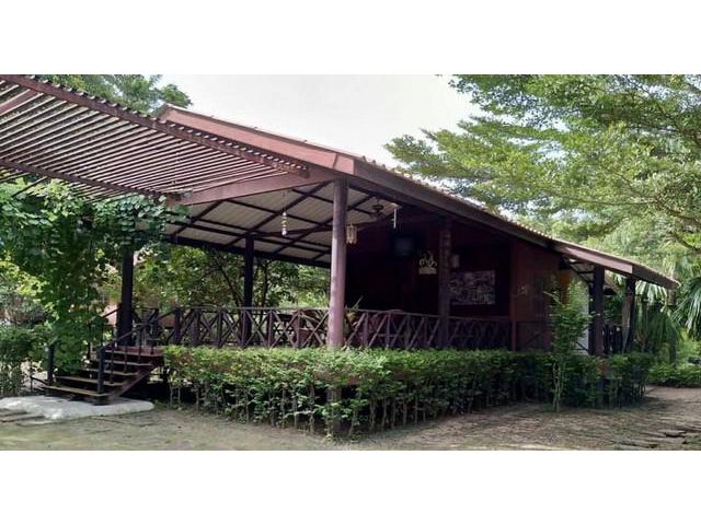 D21ขายที่ดินสวน อัมพวา ใกล้กับตลาดน้ำท่าคา