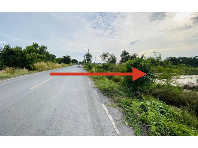 ขายที่ดิน 2 ไร่ ถนน ธัญบุรี คลองหก ปทุมธานี