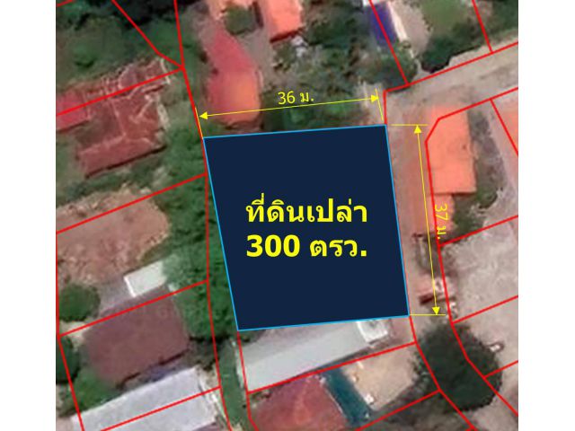 ขายที่ดินเปล่า  300 ตรว.  บ้านถวาย ต.หนองแก๋ว  อ.หางดง