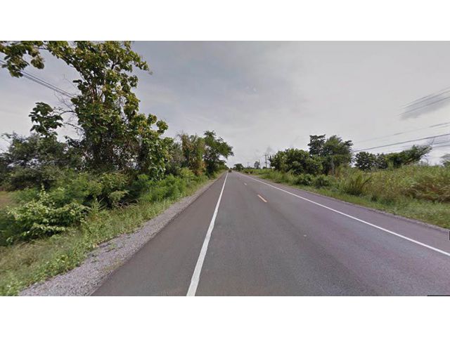 ที่ดิน 38-0-38 ไร่ ติดถนนใหญ่สาย 3004 กว้าง 223 x 468 เมตร ต.พระนอน จ.นครสวรรค์