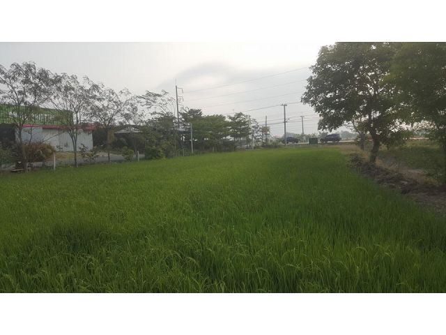 ขายที่ดิน!!ติดถนนพหลโยธิน เนื้อที่ 5 ไร่ ทางไปเข้าวงพระจันทร์