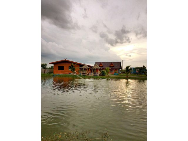 ขาย!!บ้านสวน คันคลอง ถนนใหญ่ บ้านพร้อมสวน อากาศดีมากๆๆ