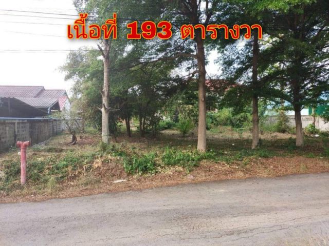 ขาย!!ที่ดินเปล่า ซอยศรีละโว้ 1 เนื้อที่ 193 ตารางวา