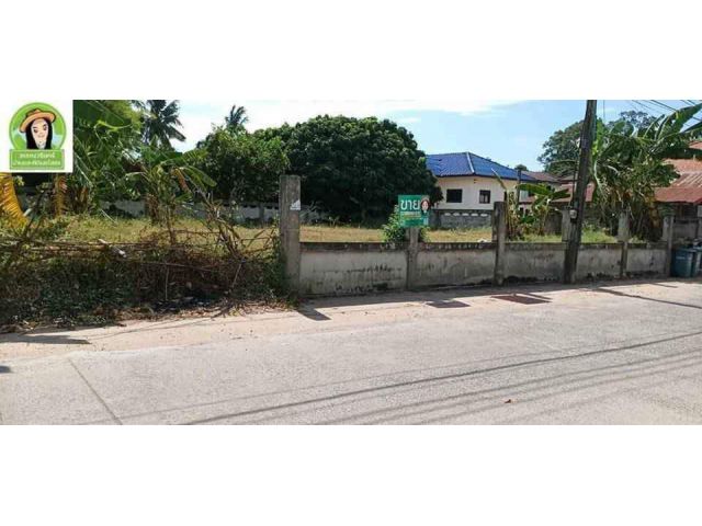 ที่ดินสร้างบ้านติดคอนกรีต บ้านคำแดง/ยโสธร 530,000 บาท