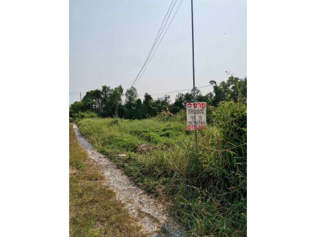 ที่ดิน 91 ตรว. ถ.คุ้มเกล้า11 ใกล้ถนนสุวินทวงศ์