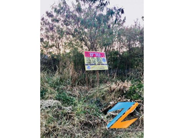 ขายที่ดิน  เนื้อที่ 223 ตรว หมู่บ้านไรมอนด์ ปาร์ค ซอยบางปลา 12 ต.บางปลา อ.บางพลี