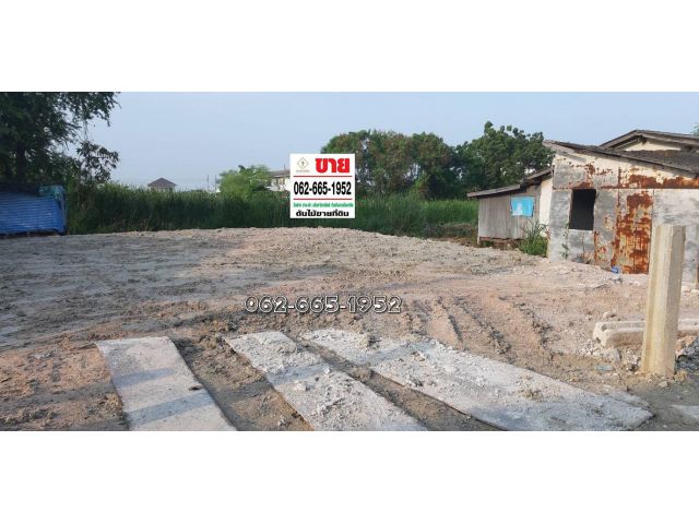 ขายที่ดินถมแล้ว ซ.เพชรจรูญ เทศบาลบางปู ซ.97/6 เนื้อที่ 75 ตรว. ขาย1,250,000บาท/ตรว