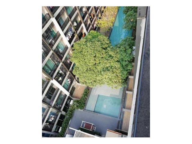 ขาย - เช่า คอนโด A Space Me สุขุมวิท 77