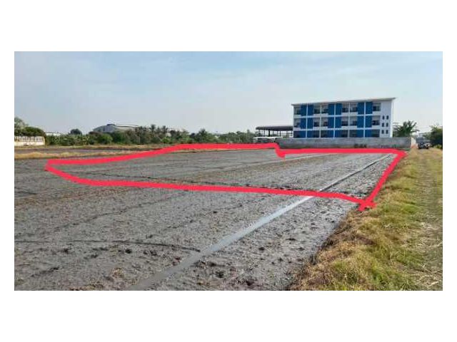 ขายที่ดินเปล่า ลำลูกกา คลองหก ขนาด 2ไร่ (เจ้าของขายเอง)