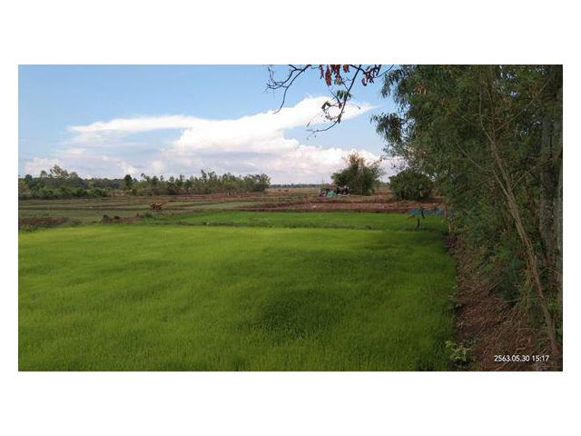 เหมาะสำหรับโครงการบ้านจัดสรร! ที่ดิน 3-0-24 THB3,600,000 ต.สามพร้าว, อ.เมือง, จ.อุดรธานี
