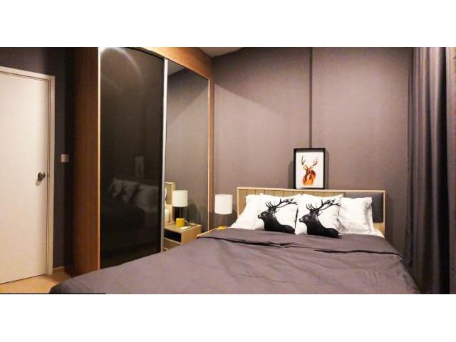 รหัสทรัพย์ B3978 ให้เช่า The Tree สุขุมวิท 71 – เอกมัย (Fully Furnished พร้อมเข้าอยู่)