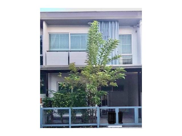 ให้เช่า The Plant Citi นาคนิวาส48