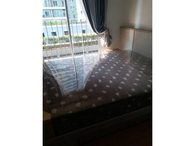 chapter one modern dutch เฟอร์ครบ วิวสะพานภูมิพล