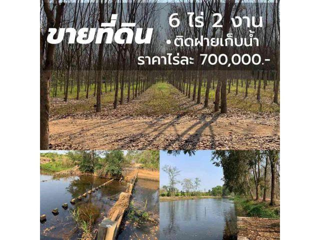 ขายที่ดินบ้านค่าย