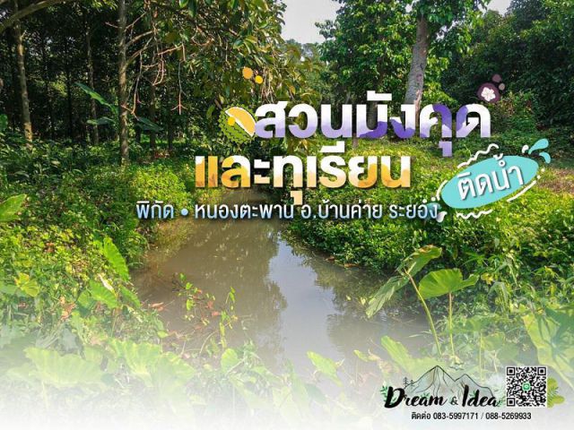 สวนผลไม้ มังคุด ทุเรียน เงาะ  3 ไร่ 3 งาน  ติดน้ำ