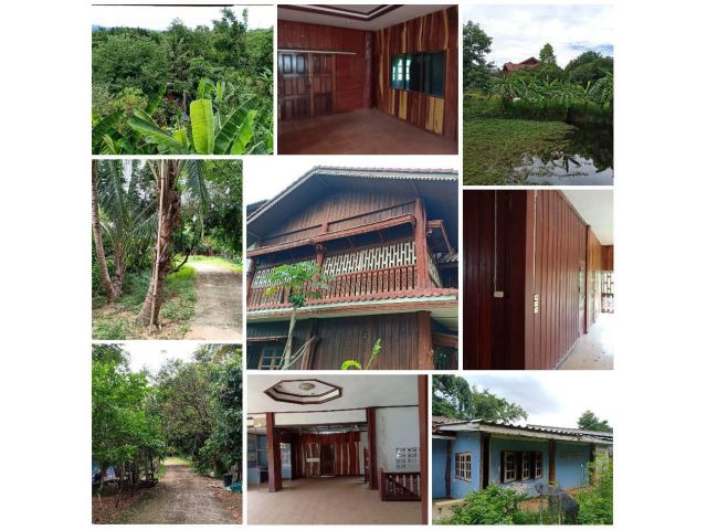 บ้าน3หลังสวยโฉนด 3ไร่กว่าติดสวนนงนุช