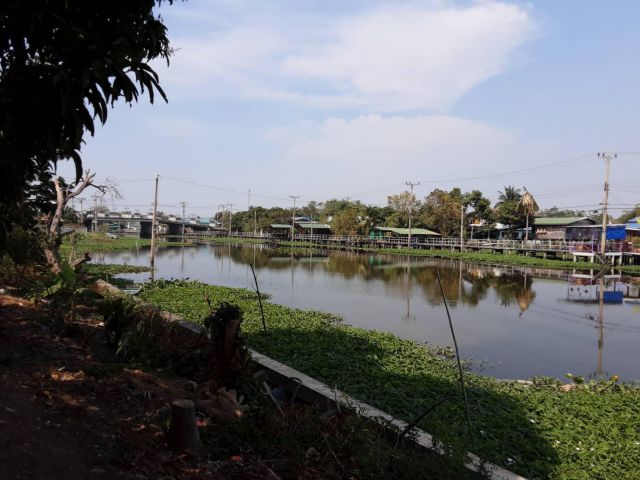 ขายที่ดิน เนื้อที่ 4 ไร่ 35 ตร.ว ติดคลองบางบัวทอง หน้าติดถนนใหญ่  ด้านหลังติดน้ำ 51เมตร คลองใหญ่น้ำใส สะอาด