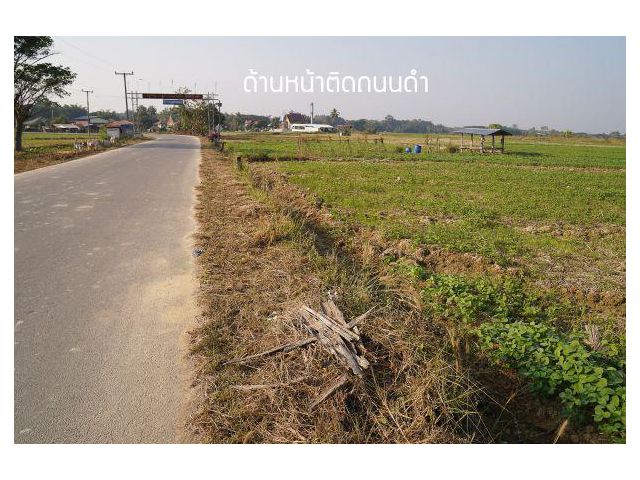 ที่นาบ้านน้ำแก่น จังหวัดน่าน 2-1-68 ไร่ ติดถนนดำไฟฟ้าถึงไร่ละ1.25 ล้าน