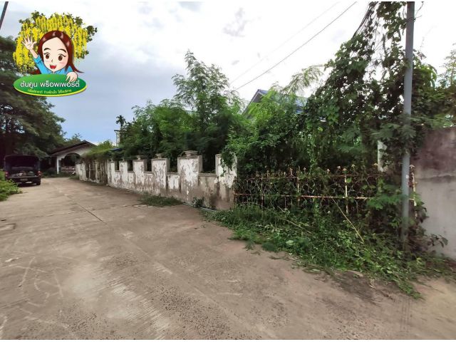 ขายที่ดินในซอย​สุขา​อุปถัมภ์ เมืองอุบล