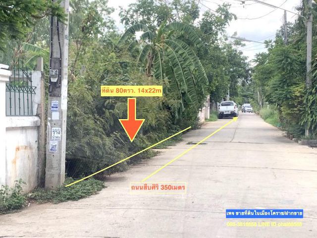 ขายที่ดินใกล้บิ๊กซีสามแยกปัก เนื้อที่ 80ตรว.ในเมืองโคราช