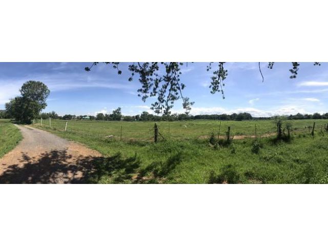 ขายที่ดิน วิวภูเขาสวยงาม ติดทางสาธารณะ  46-2-77 ไร่ มีน้ำใช้ตลอดทั้งปี หน้ากว้าง 280 ลึก 420 เมตร เขาย้อย เพชรบุรี