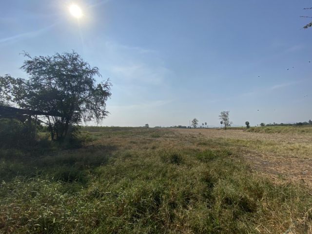 ขายที่ดินพร้อมบ้าน 12 ไร่เศษ ราคาถูกมาก‼️ ซอย 8 ใกล้สี่แยกซอย 12 พัฒนานิคม ลพบุรี ราคา 3,xxx,xxxบาท