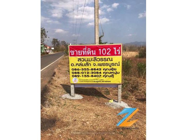 ขายที่ดิน สวนมะลิวรรณ 102 ไร่ ต.บ้านกลาง อ.หล่มสัก จ.เพชรบูรณ์