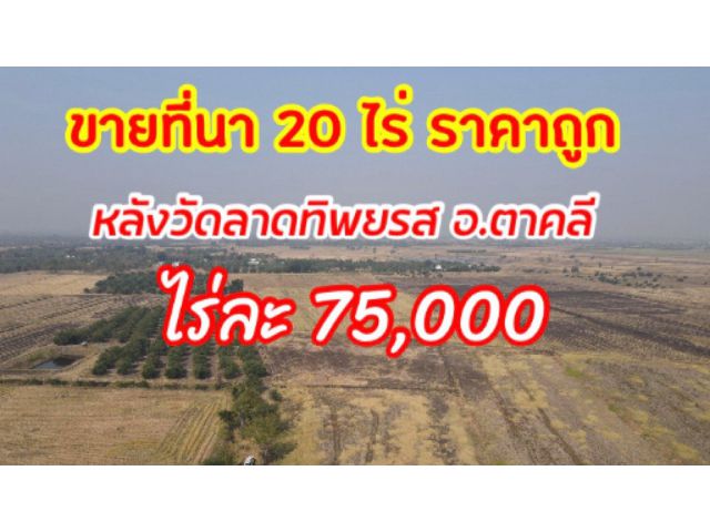 ขายที่นา 20 ไร่เศษ หลังวัดลาดทิพยรส อ.ตาคลี จ.นครสวรรค์ ราคาไร่ละ 75,000 บาท