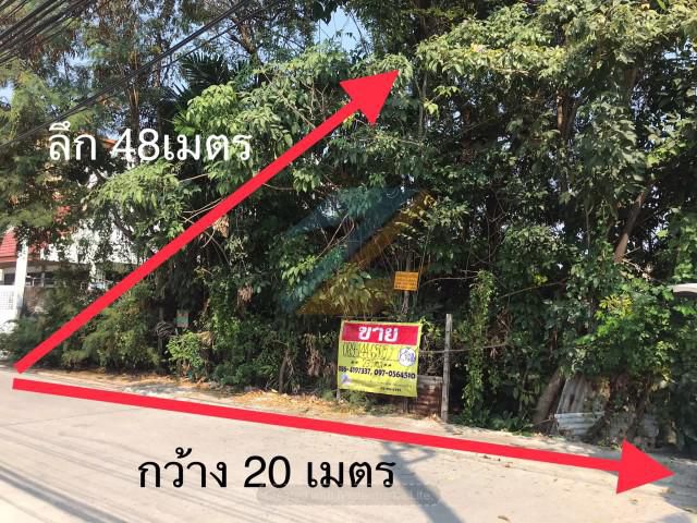 ขายที่ดิน 239 ตารางวา ซอยลาดพร้าว124  กทม.