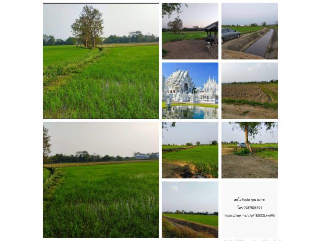 ขายที่ดิน เปล่า สวยมาก ใกลัวัดร่องขุน  จังหวัด เชียงราย