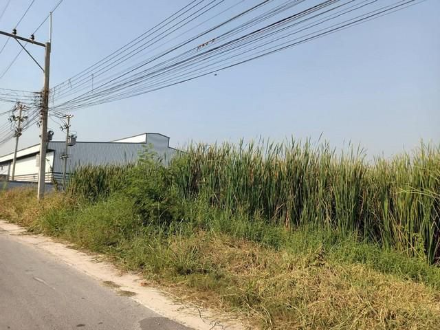 ขายที่ดินเนื้อที่ 1ไร่ ลาดหลุมแก้ว ปทุมธานี