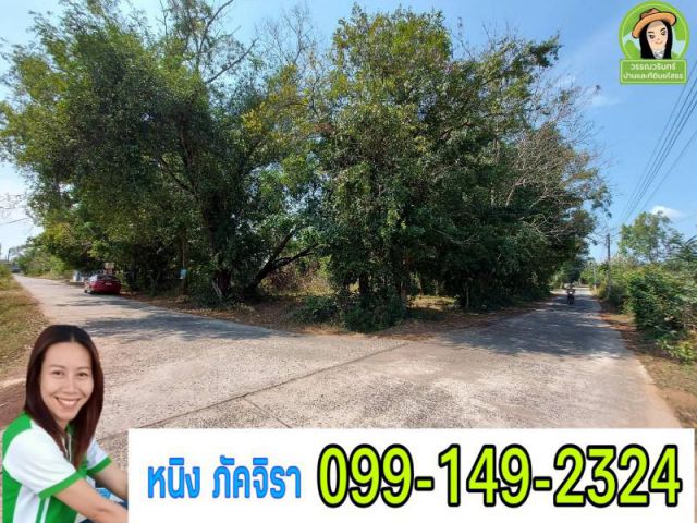 ที่ดินห้วยขะยูง 310 ตร.ว. ราคาถูก 650,000 บาท